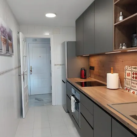 Napoleon 4a With Pool Close To The Apartment Marbella