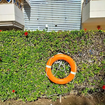 Napoleon 4a With Pool Close To The Apartment *